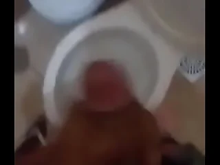 Novinho enganado no zap